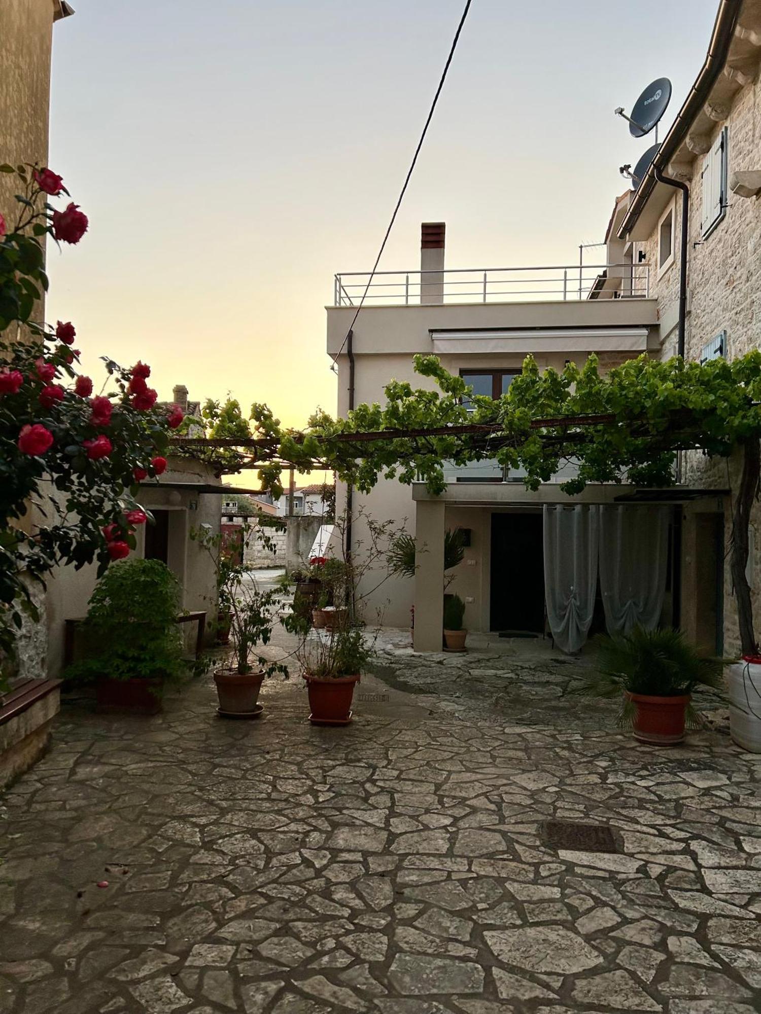 Mm22 Apartament